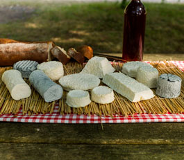 Plusieurs sortes de fromages de chèvre produits par la C'lait des Champs à Savigné (86) près de Civray