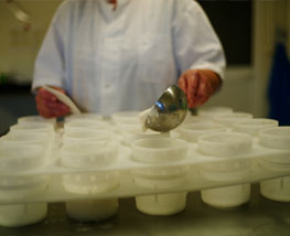 Fromages de chèvre moulés à la louche dans la fromagerie de Savigné (86)